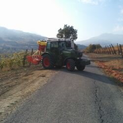 Mazzocchi semina (9)