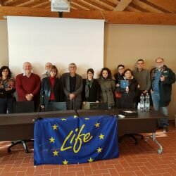 1st annual meeting (10)