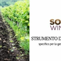 Nuovo strumento decisionale per la gestione del suolo in viticoltura